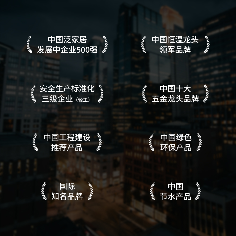 企业荣誉