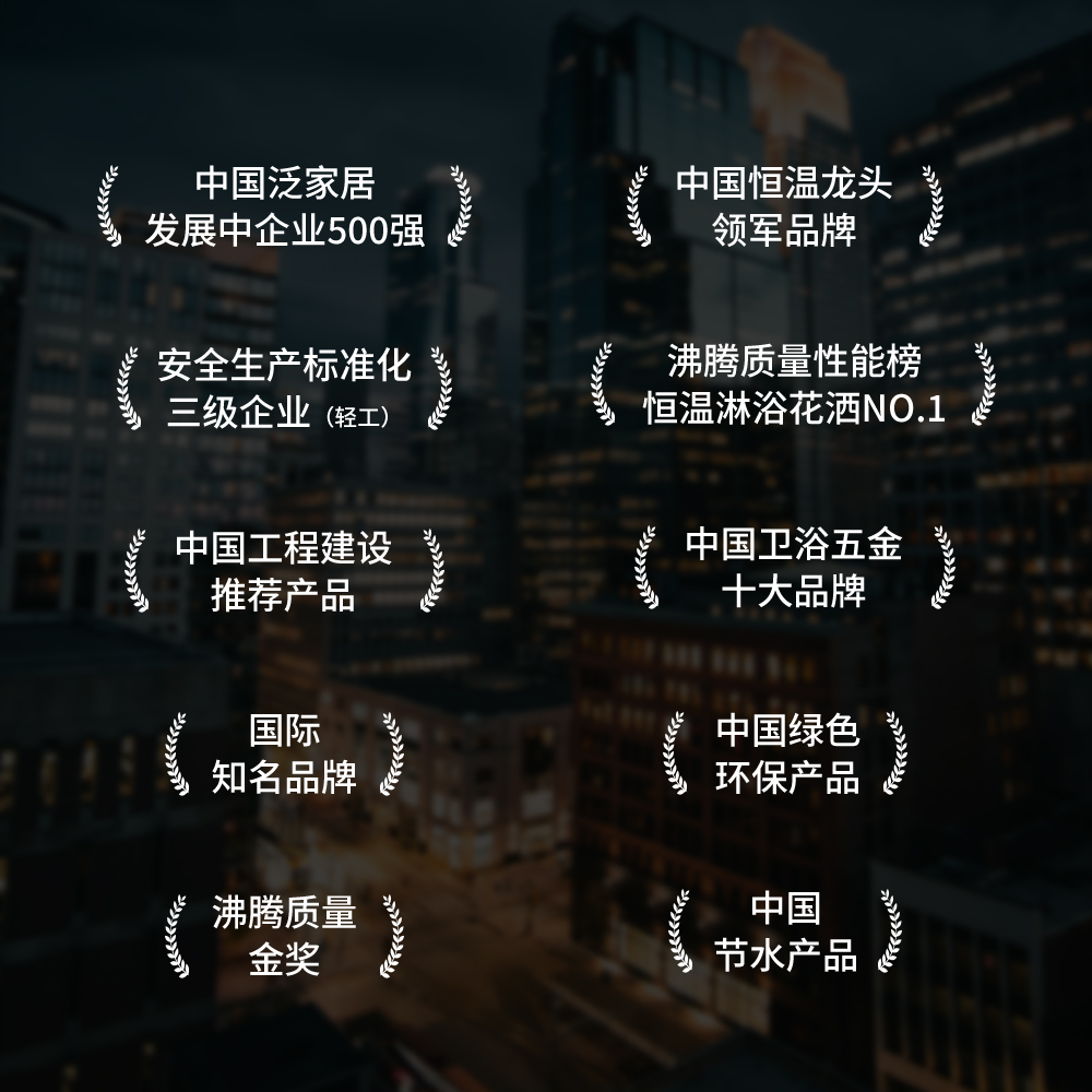 企业荣誉